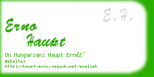erno haupt business card